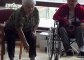 Aktivity seniorů