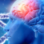 Neurolog ve Farní charitě Litoměřice Neurolog ve Farní charitě Litoměřice